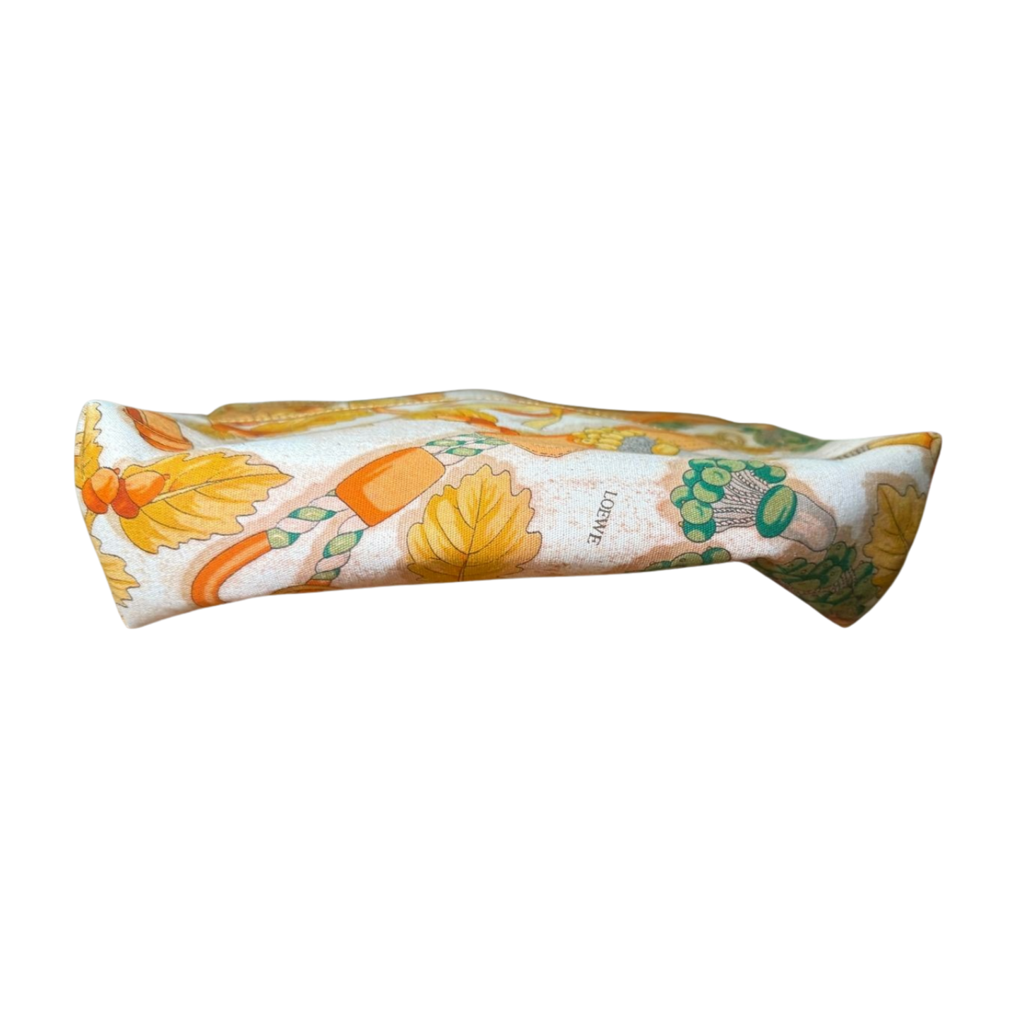 Loewe Printed Canvas Pouch