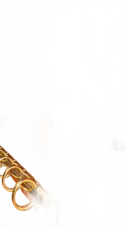 Louis Vuitton Canyon Leather Agenda