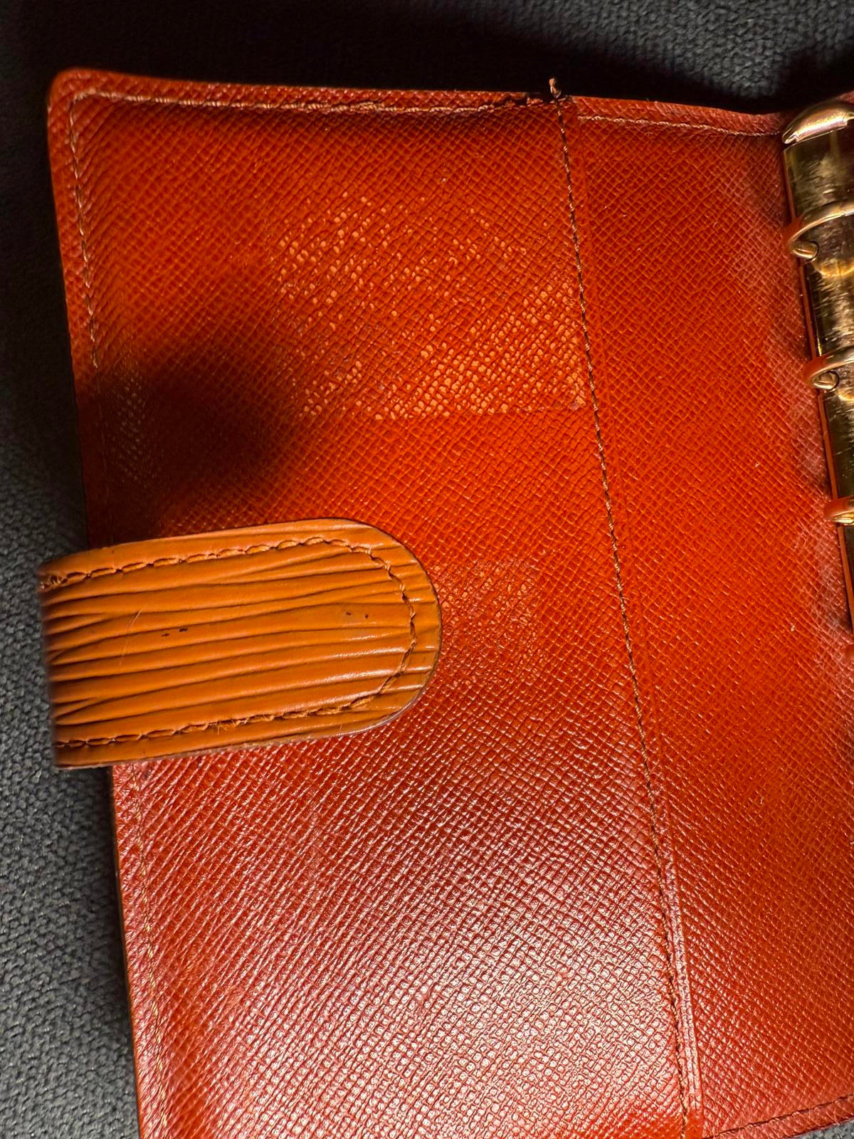 Louis Vuitton Canyon Leather Agenda