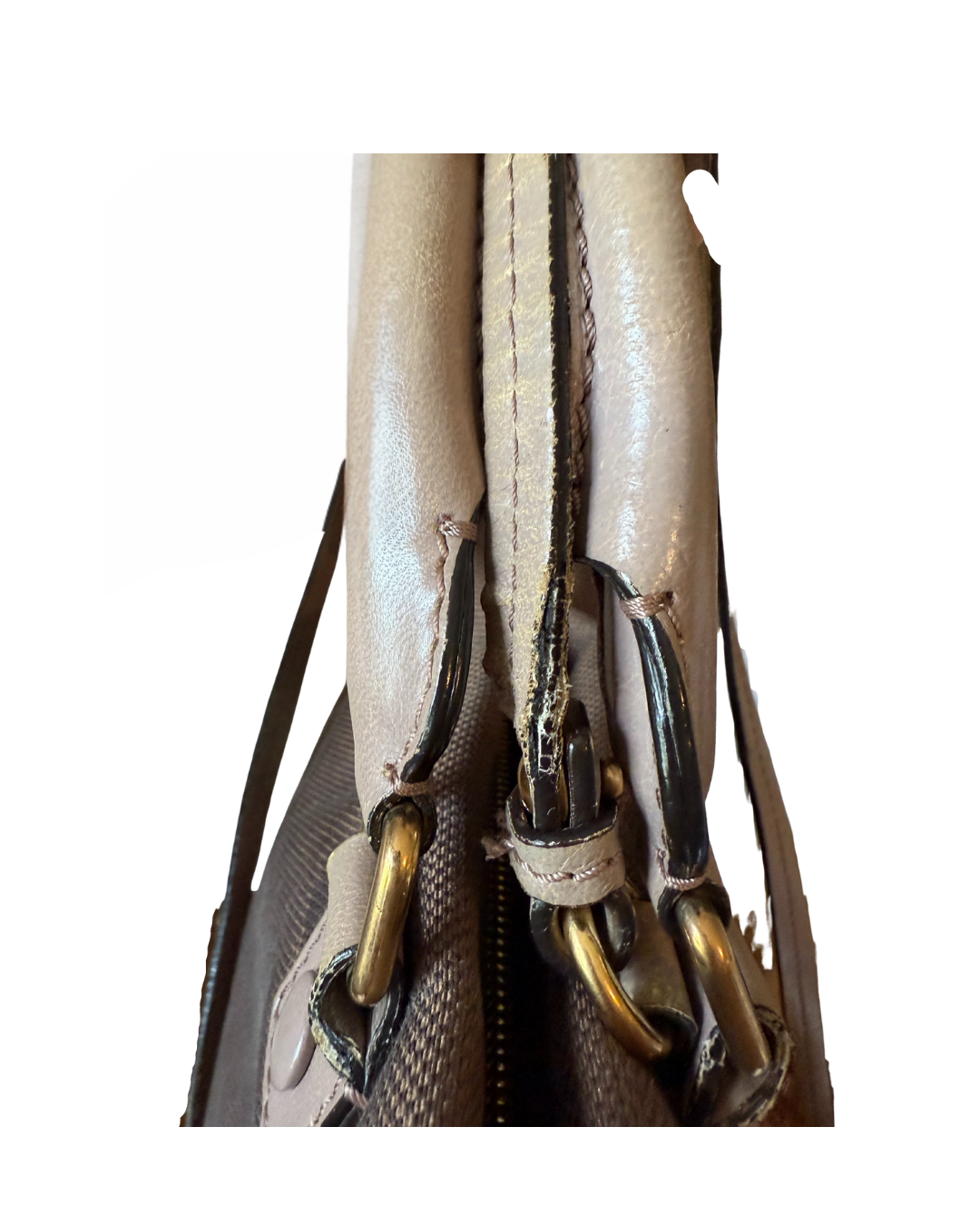Chloe Haley Crossbody 2Way bag