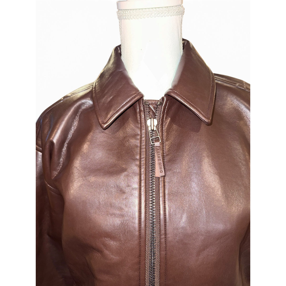 Anine Bing Brown Leather Zip-Front Collared Jacket