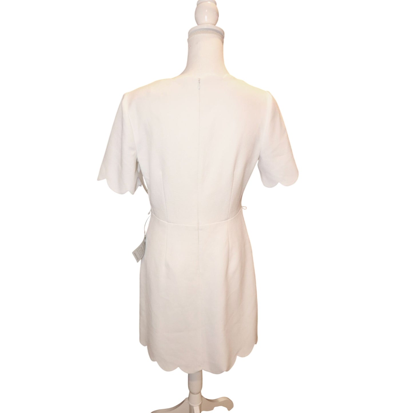 Eliza J Scalloped Hem Short Sleeve White Mini Dress, Size 6 NWT